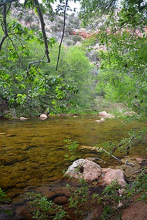 Sycamore Creek, Sycamore Canyon, April 16, 2015